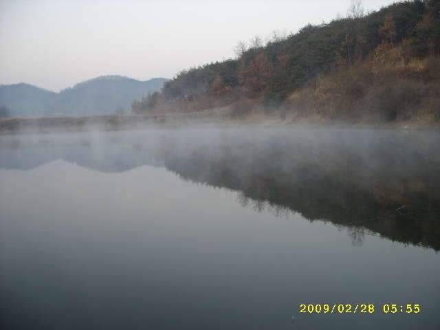 새우 한통 다 쓰는 그날까지 (조황조행기 - 화보조행기)