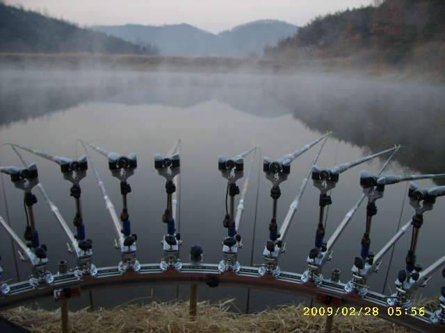 새우 한통 다 쓰는 그날까지 (조황조행기 - 화보조행기)