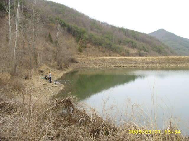 행복한 5짜 (조황조행기 - 화보조행기)