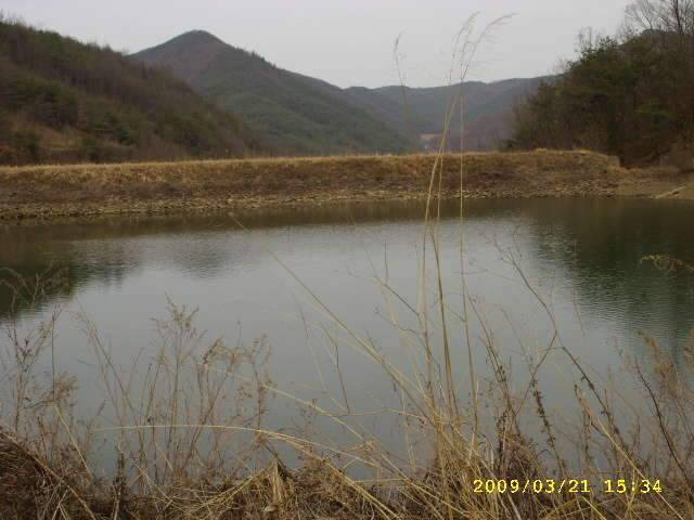 행복한 5짜 (조황조행기 - 화보조행기)