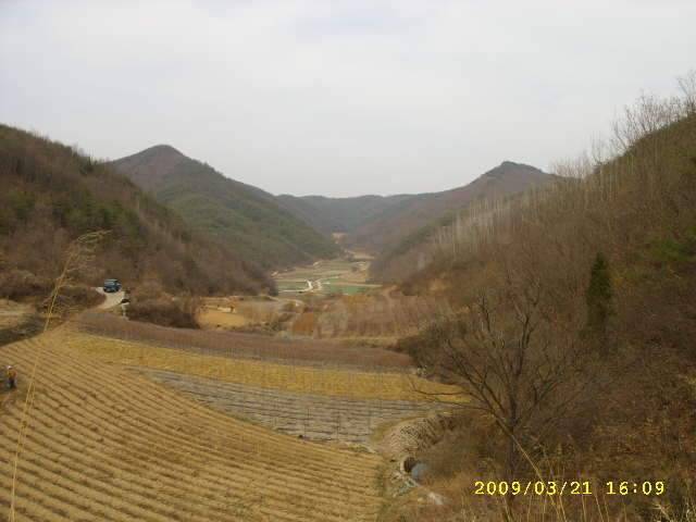 행복한 5짜 (조황조행기 - 화보조행기)