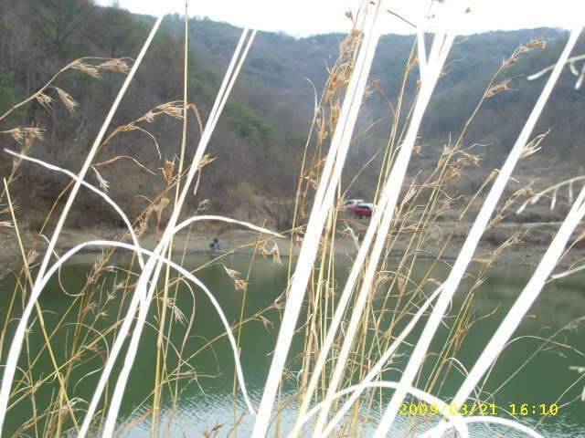 행복한 5짜 (조황조행기 - 화보조행기)