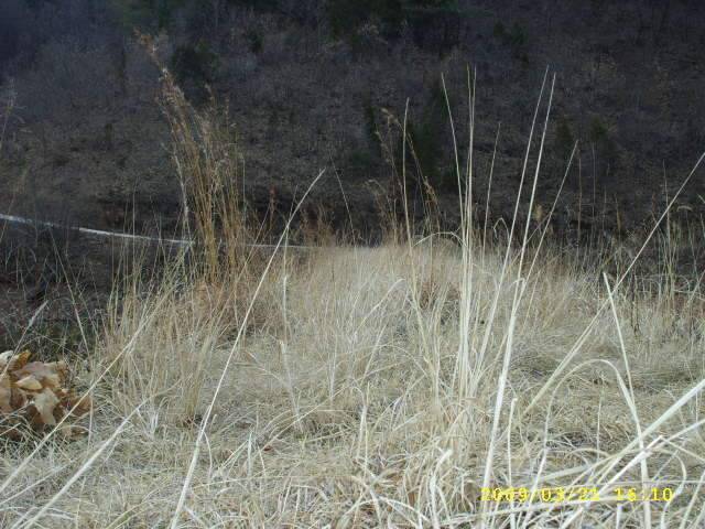 행복한 5짜 (조황조행기 - 화보조행기)