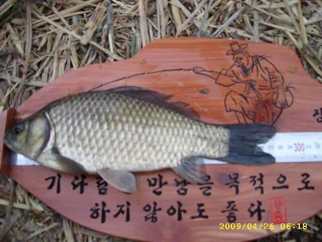 낚시가 뭔지 (조황조행기 - 화보조행기)