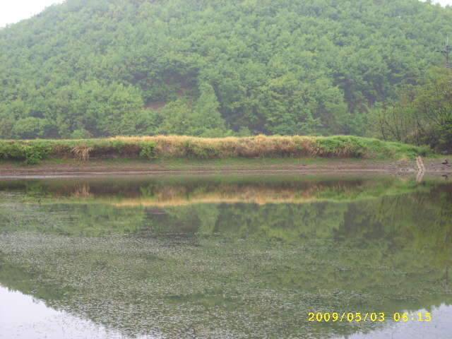 낚시가 뭔지 (조황조행기 - 화보조행기)