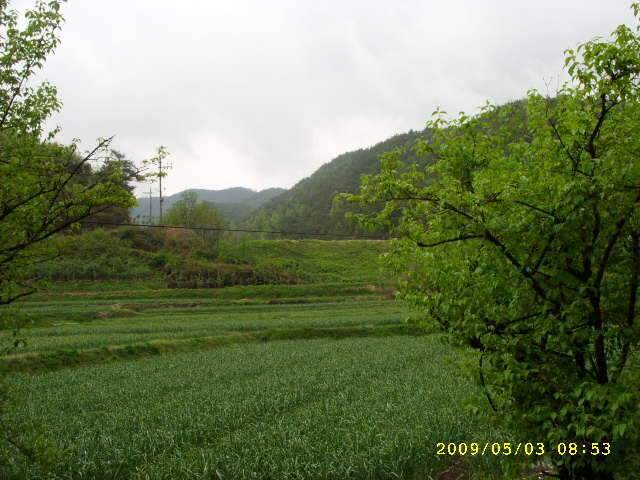 낚시가 뭔지 (조황조행기 - 화보조행기)