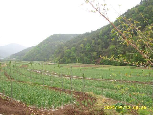 낚시가 뭔지 (조황조행기 - 화보조행기)