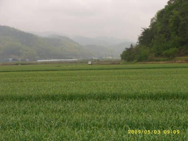낚시가 뭔지 (조황조행기 - 화보조행기)
