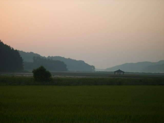 낚시 때리친다 (조황조행기 - 화보조행기)