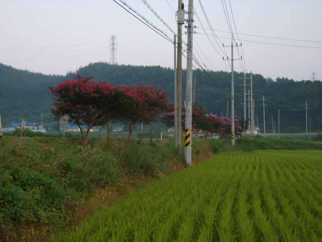 낚시 때리친다 (조황조행기 - 화보조행기)