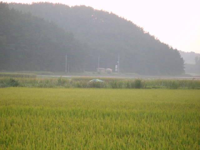 낚시 때리친다 (조황조행기 - 화보조행기)