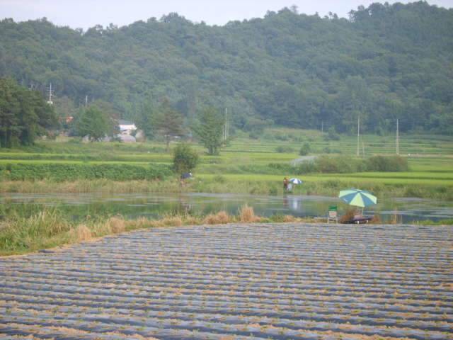 낚시 때리친다 (조황조행기 - 화보조행기)