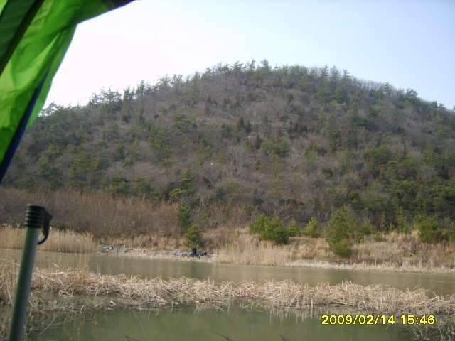 어찌할 도리가 없는 출조길 (조황조행기 - 화보조행기)