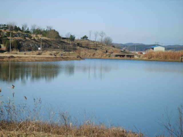 납회오늘도 한해의 마지막 (조황조행기 - 화보조행기)