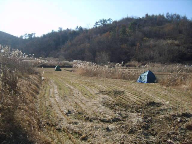 납회오늘도 한해의 마지막 (조황조행기 - 화보조행기)