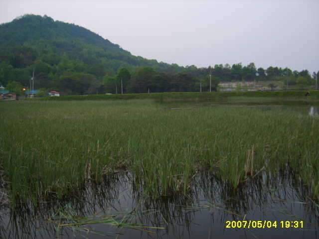 동반의 낚여정 상주 내동지세동지 (조황조행기 - 화보조행기)