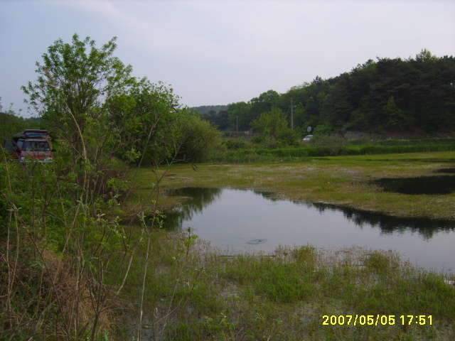 동반의 낚여정 상주 내동지세동지 (조황조행기 - 화보조행기)