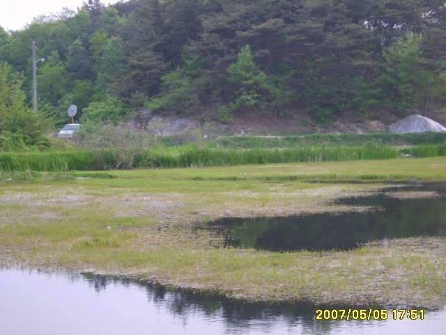 동반의 낚여정 상주 내동지세동지 (조황조행기 - 화보조행기)