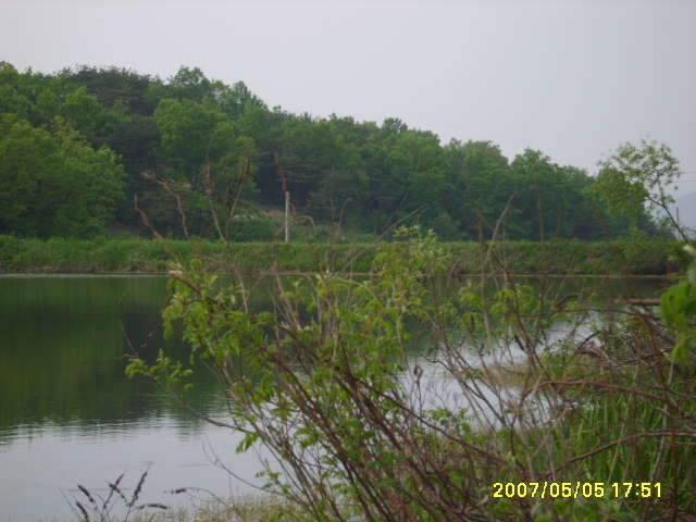 동반의 낚여정 상주 내동지세동지 (조황조행기 - 화보조행기)