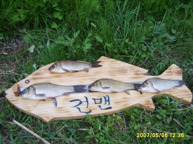 동반의 낚여정 상주 내동지세동지 (조황조행기 - 화보조행기)