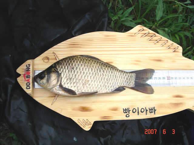 수장지에 다녀왔습니다 (조황조행기 - 화보조행기)