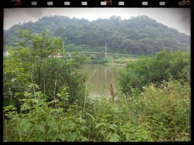 반가운 님과 재회♡ (조황조행기 - 화보조행기)