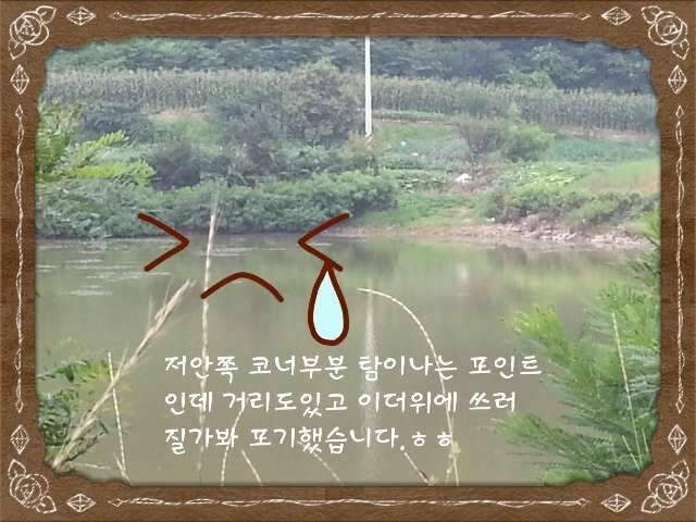 반가운 님과 재회♡ (조황조행기 - 화보조행기)