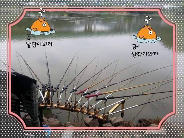 반가운 님과 재회♡ (조황조행기 - 화보조행기)