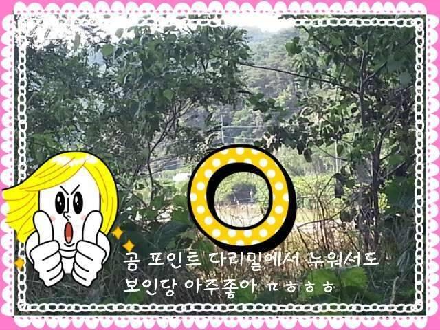 반가운 님과 재회♡ (조황조행기 - 화보조행기)