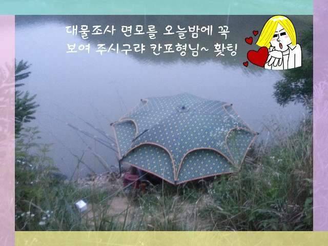 반가운 님과 재회♡ (조황조행기 - 화보조행기)