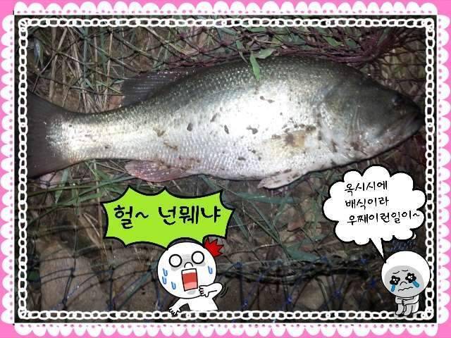 반가운 님과 재회♡ (조황조행기 - 화보조행기)