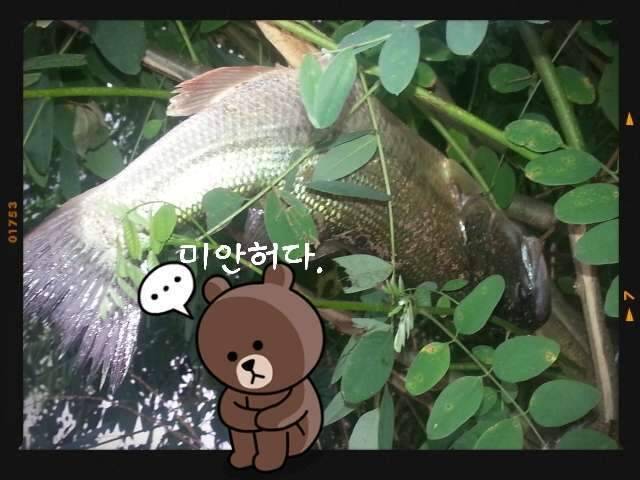 반가운 님과 재회♡ (조황조행기 - 화보조행기)