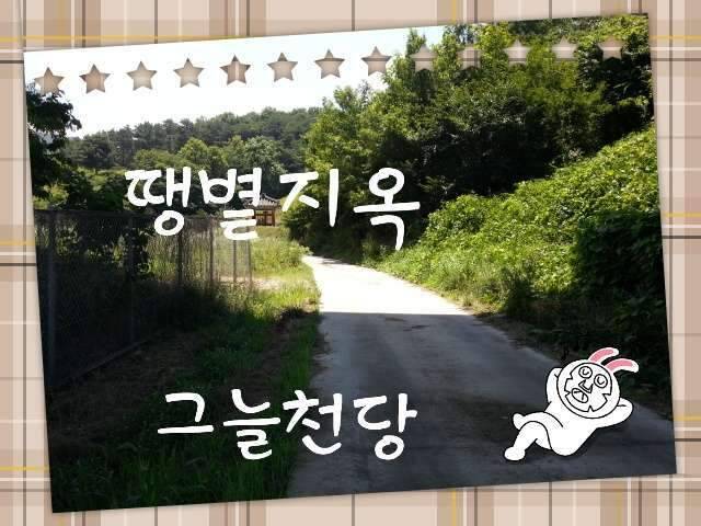 반가운 님과 재회♡ (조황조행기 - 화보조행기)