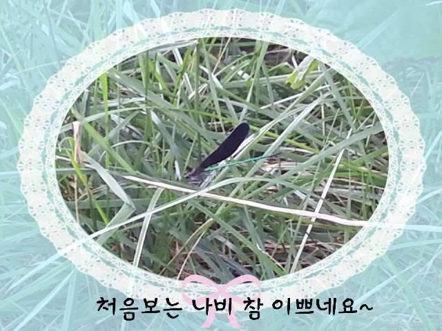 반가운 님과 재회♡ (조황조행기 - 화보조행기)