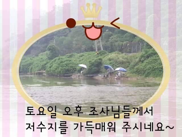 반가운 님과 재회♡ (조황조행기 - 화보조행기)