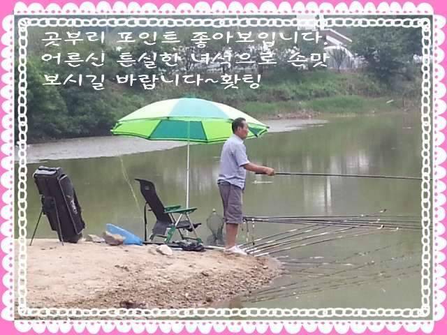 반가운 님과 재회♡ (조황조행기 - 화보조행기)
