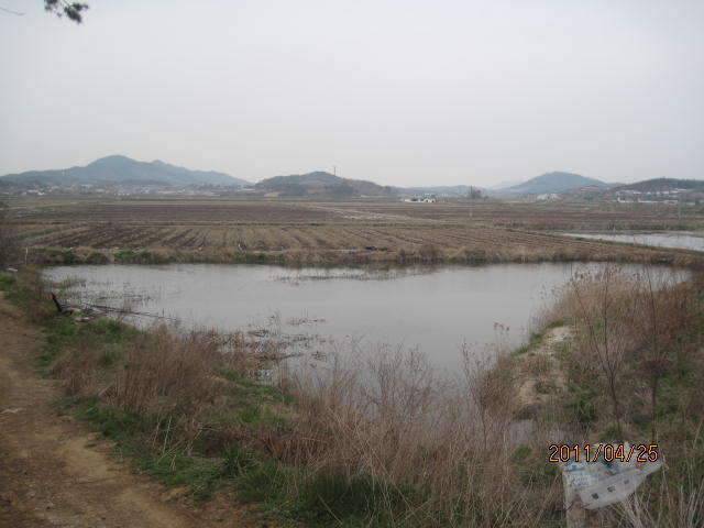 둠벙가다 (조황조행기 - 화보조행기)