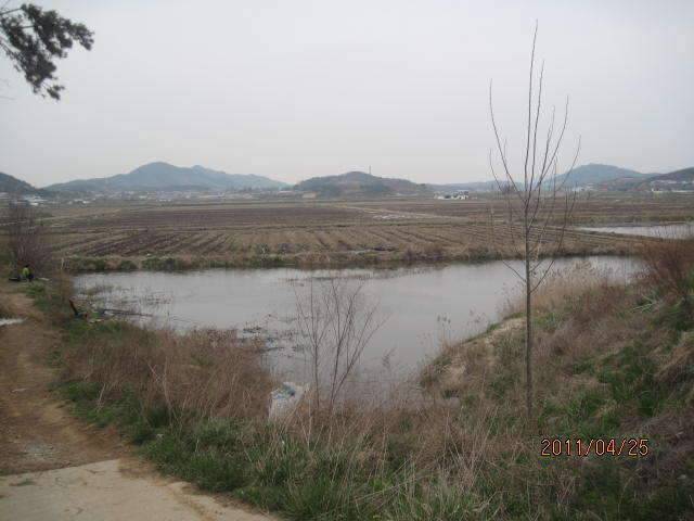 둠벙가다 (조황조행기 - 화보조행기)
