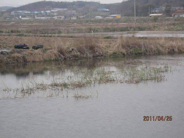 둠벙가다 (조황조행기 - 화보조행기)