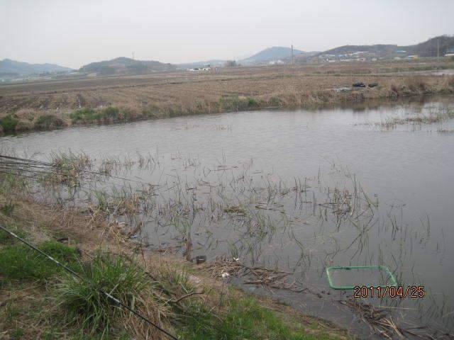 둠벙가다 (조황조행기 - 화보조행기)