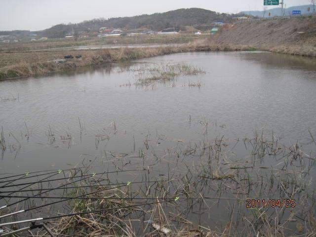 둠벙가다 (조황조행기 - 화보조행기)