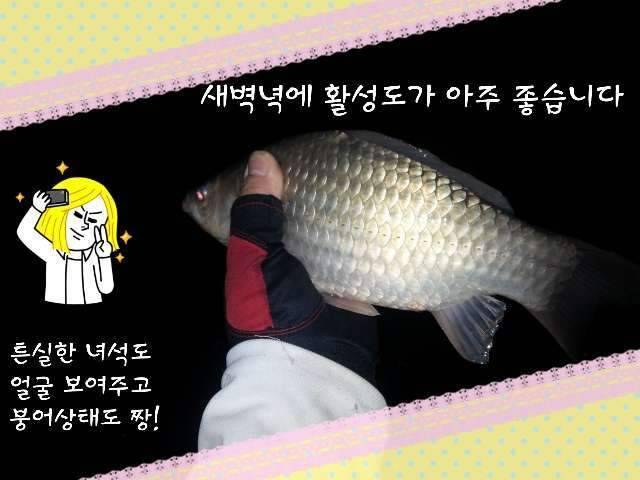 반가운 님과 재회♡ (조황조행기 - 화보조행기)