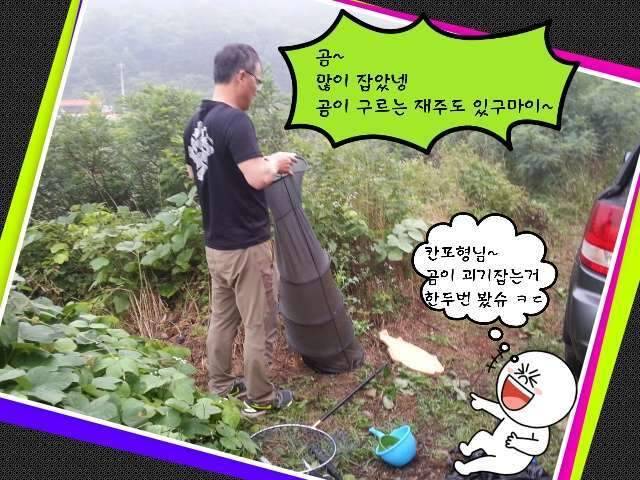 반가운 님과 재회♡ (조황조행기 - 화보조행기)
