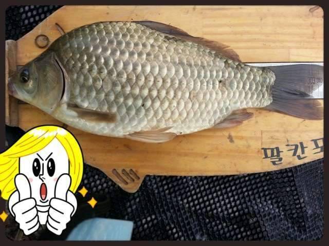 반가운 님과 재회♡ (조황조행기 - 화보조행기)