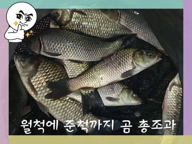 반가운 님과 재회♡ (조황조행기 - 화보조행기)