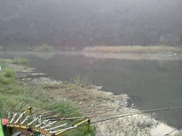 바람부는 날 (조황조행기 - 화보조행기)