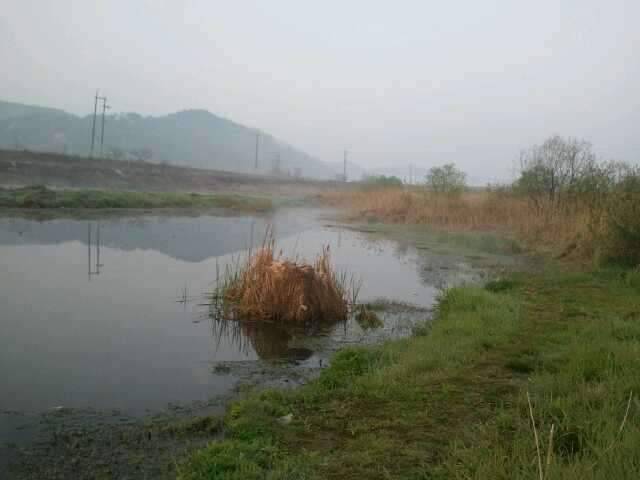 바람부는 날 (조황조행기 - 화보조행기)