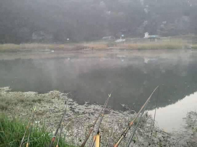 바람부는 날 (조황조행기 - 화보조행기)