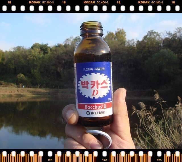 겨울을 준비하며 (조황조행기 - 화보조행기)