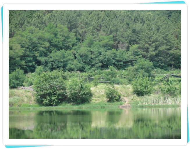 꽝조행기사배지 (조황조행기 - 화보조행기)
